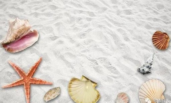 嗨，你还好吗？