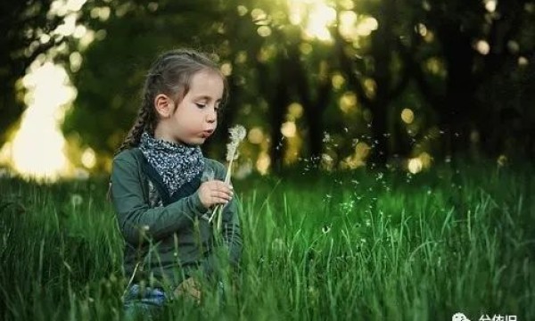 只道当时是寻常